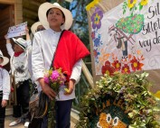 Feria de flores